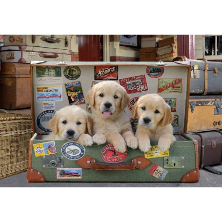 Puzzle Educa cuccioli in bagagli da 500 pezzi - Puzzles Educa
