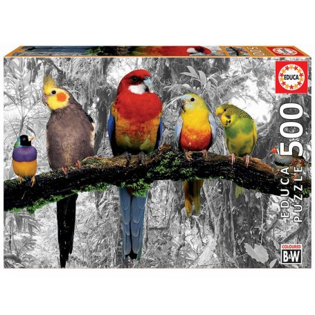 Puzzle Educa uccelli nella giungla di 500 pezzi - Puzzles Educa