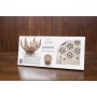 UgearsModels - Fiore Puzzle 3D - Ugears Models