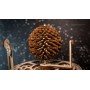 Puzzle eco wood art Planetario 534 Pezzi - Eco Wood Art