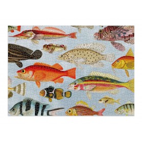 Puzzle cloudberries 1000 pezzi acquatici Cloudberries - 1