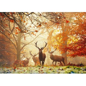 Puzzle Heye cervo da 1000 pezzi Heye - 1