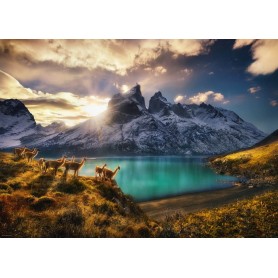 Puzzle Heye Guanacos 1000 pezzi Heye - 2