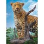 Puzzle Trefl leopardo selvatico da 500 pezzi - Puzzles Trefl