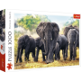 Puzzle Trefl elefanti africani da 1000 pezzi - Puzzles Trefl