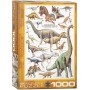 Puzzle Eurographics dinosauri giurassici da 1000 pezzi - Eurographics