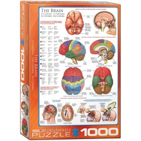 Puzzle Eurographics Il cervello di 1000 pezzi Eurographics - 1