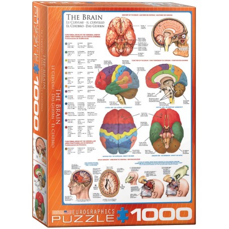 Puzzle Eurographics Il cervello di 1000 pezzi - Eurographics