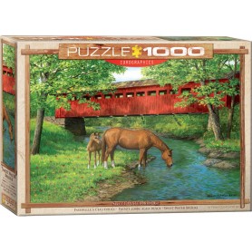 Puzzle Eurographics ponte d'acqua dolce da 1000 pezzi Eurographics - 1