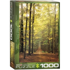 Puzzle Eurographics PathForest Forest Road da 1000 pezzi Eurographics - 1