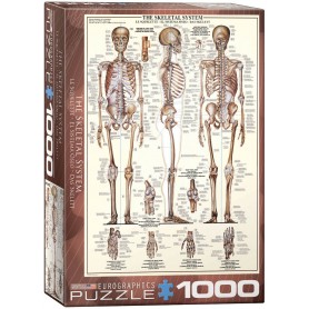 Puzzle Eurographics il sistema osseo da 1000 pezzi Eurographics - 1