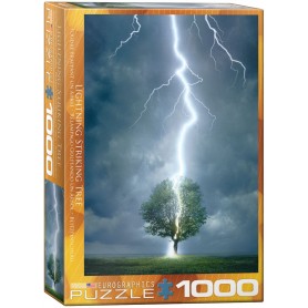 Puzzle Eurographics un fulmine che colpisce un albero di 1000 pezzi Eurographics - 1