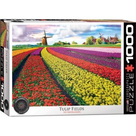 Puzzle Eurographics tulipano, Olanda 1000 pezzi Eurographics - 1