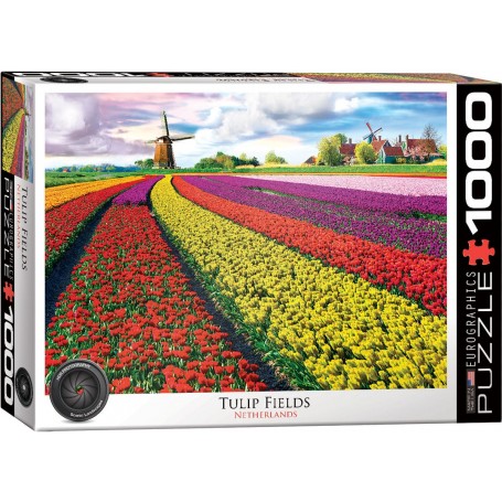 Puzzle Eurographics tulipano, Olanda 1000 pezzi - Eurographics