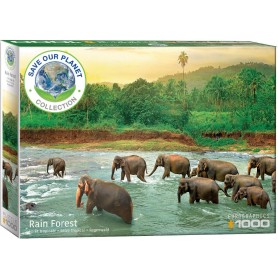 Puzzle Eurographics salvarlo! 1000 pezzi Animal Planet Kingdom Eurographics - 1