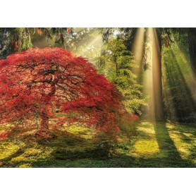 Puzzle Heye guida leggera da 1000 pezzi Heye - 1