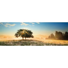 Puzzle Heye set di luci da 1000 pezzi Heye - 1