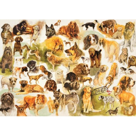 Puzzle Jumbo poster per cani da 1000 pezzi - Jumbo