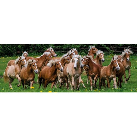 Puzzle Jumbo cavalli nel prato panoramico di 1000 pezzi - Jumbo