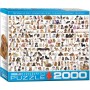 Puzzle Eurographics Il mondo dei cani dei 2000 pezzi - Eurographics
