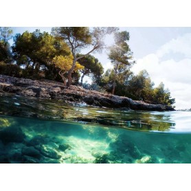 Puzzle Ravensburger viste da 1000 pezzi Ravensburger - 1