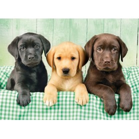 Puzzle Clementoni i tre labrador da 1000 pezzi Clementoni - 2