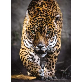 Puzzle Clementoni il Jaguar Pass da 1000 pezzi Clementoni - 1