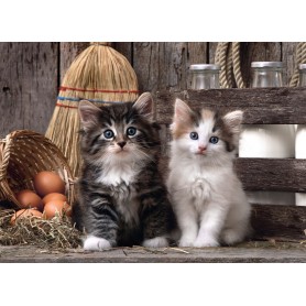 Puzzle Clementoni gattini da 1000 pezzi Clementoni - 2