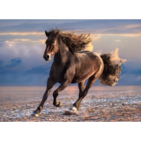 Puzzle Clementoni cavallo libero da 1000 pezzi Clementoni - 2