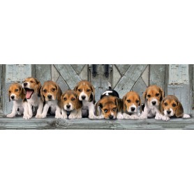 Puzzle Clementoni Panoramico Beagles 1000 pezzi Clementoni - 1