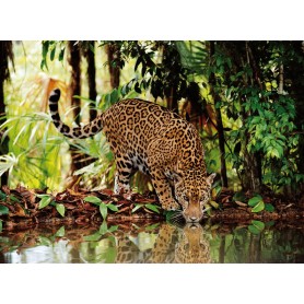 Puzzle Clementoni Leopard 2000 Pezzi Clementoni - 1
