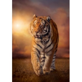 Puzzle Clementoni tigre da 1500 pezzi al tramonto Clementoni - 1
