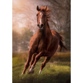 Puzzle Clementoni cavallo alla gara dei 1500 pezzi Clementoni - 1