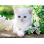 Puzzle Ravensburger gattino bianco da 1500 pezzi - Ravensburger