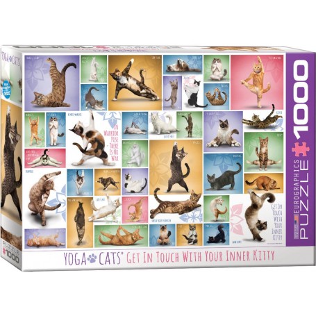 Puzzle Eurographics gatti yoga da 1000 pezzi - Eurographics
