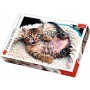 Puzzle Trefl gattino allegro da 1000 pezzi Puzzles Trefl - 2