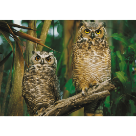 Puzzle Trefl gufi di 1000 pezzi Puzzles Trefl - 1