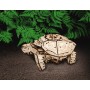 Eco Wood Art tartaruga Eco Wood Art - 3