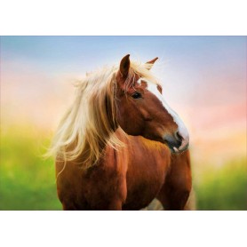 Puzzle Educa cavallo da 500 pezzi all'alba Puzzles Educa - 1