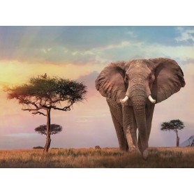Puzzle Clementoni tramonto africano di 500 pezzi Clementoni - 1