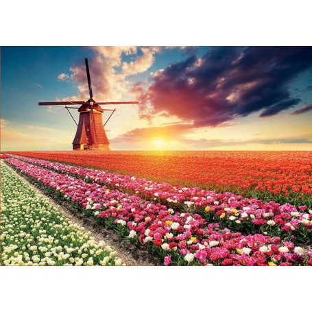 Puzzle Educa paesaggio di tulipani di 1500 pezzi Puzzles Educa - 1
