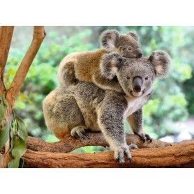 Puzzle Ravensburger Koala Love XXL 200 Pezzi Ravensburger - 1
