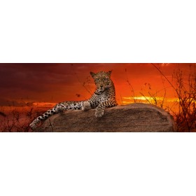 Puzzle Heye Tramonto rosso 2000 pezzi Heye - 1