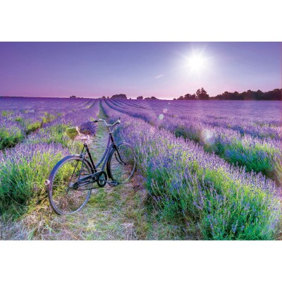 Puzzle Educa Bicicletta in Lavanda Campo di 1000 pezzi Puzzles Educa - 1