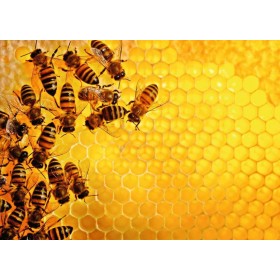 Puzzle Ravensburger Sfida l'alveare da 1000 pezzi Ravensburger - 1