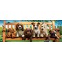 Puzzle Educa Cuccioli sulla panchina panoramica da 1000 pezzi Puzzles Educa - 2