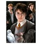 Puzzle Educa Harry Potter (pezzi in miniatura) da 1000 pezzi Puzzles Educa - 1