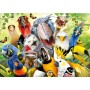 Educa Guarda l'uccellino Puzzle 500 pezzi Puzzles Educa - 1