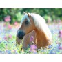 Puzzle Ravensburger Cavallo tra i fiori XXL 300 pezzi Ravensburger - 2