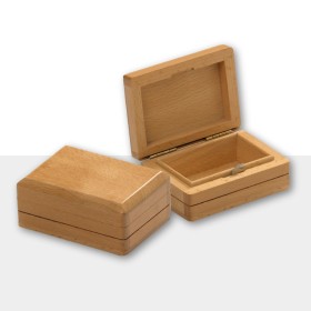 Il forziere segreto Philos - 1